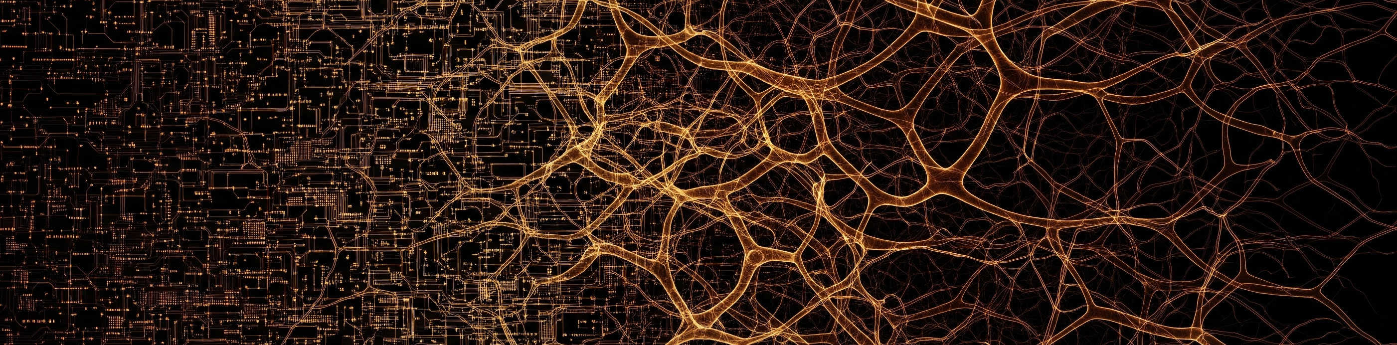 Page banner for MODVIS, decorative image.